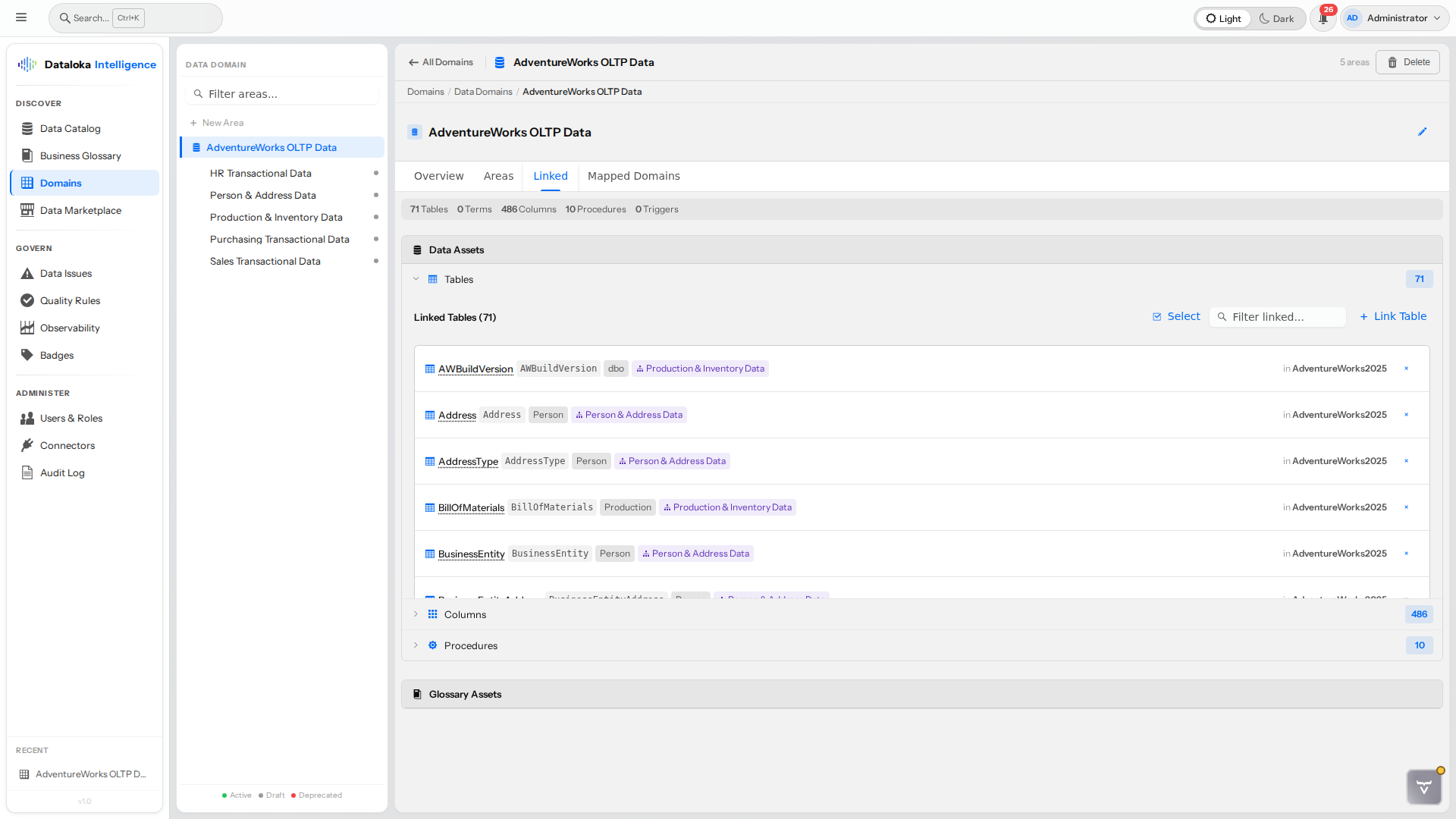 Linked Assets — tables, columns, procedures, and glossary terms connected to a data domain
